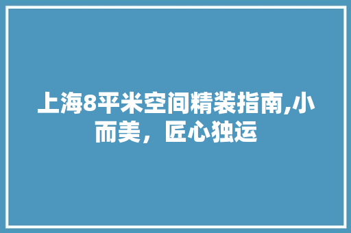上海8平米空间精装指南,小而美，匠心独运 上海8平米空间精装指南,小而美，匠心独运 家居设计
