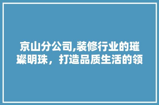 京山分公司,装修行业的璀璨明珠，打造品质生活的领航者 京山分公司,装修行业的璀璨明珠，打造品质生活的领航者 二手房