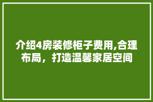 介绍4房装修柜子费用,合理布局，打造温馨家居空间 介绍4房装修柜子费用,合理布局，打造温馨家居空间 家居装饰