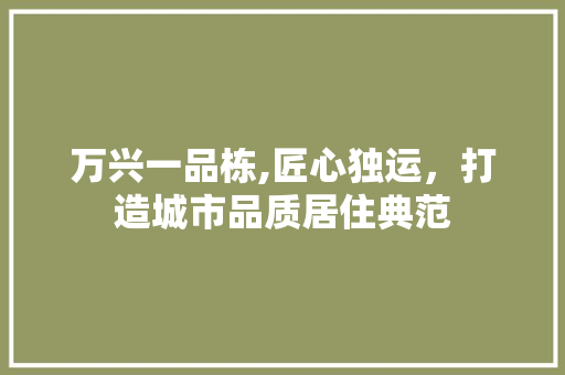 万兴一品栋,匠心独运，打造城市品质居住典范 万兴一品栋,匠心独运，打造城市品质居住典范 家居装饰