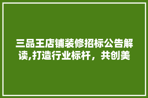 三品王店铺装修招标公告解读,打造行业标杆，共创美好未来 三品王店铺装修招标公告解读,打造行业标杆，共创美好未来 家居装饰