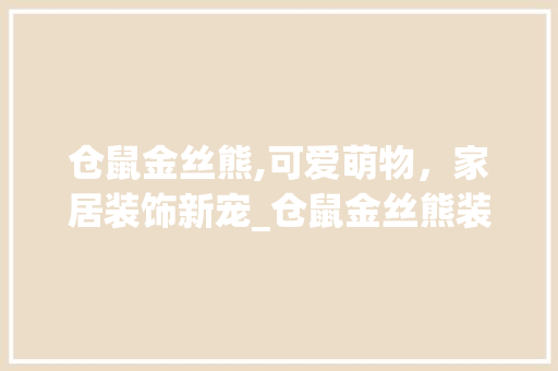 仓鼠金丝熊,可爱萌物，家居装饰新宠_仓鼠金丝熊装饰 仓鼠金丝熊,可爱萌物，家居装饰新宠_仓鼠金丝熊装饰 家居设计