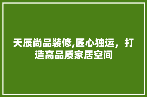 天辰尚品装修,匠心独运，打造高品质家居空间 天辰尚品装修,匠心独运，打造高品质家居空间 家居设计
