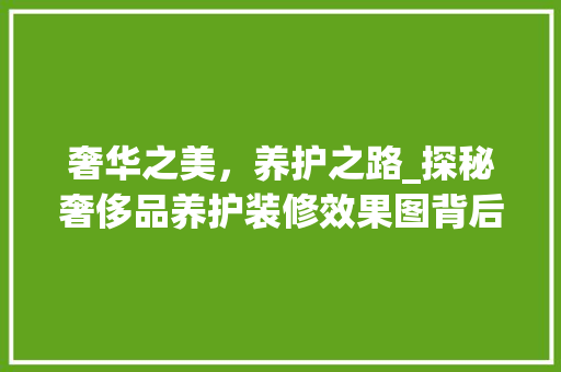 奢华之美，养护之路_探秘奢侈品养护装修效果图背后的艺术与匠心 奢华之美，养护之路_探秘奢侈品养护装修效果图背后的艺术与匠心 二手房