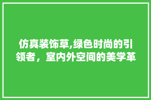 仿真装饰草,绿色时尚的引领者，室内外空间的美学革命_仿真装饰草 仿真装饰草,绿色时尚的引领者，室内外空间的美学革命_仿真装饰草 装修知识