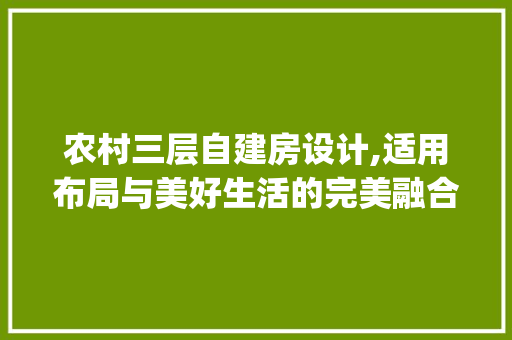 农村三层自建房设计,适用布局与美好生活的完美融合_最适用农村三层自建房平房设计图 家居设计