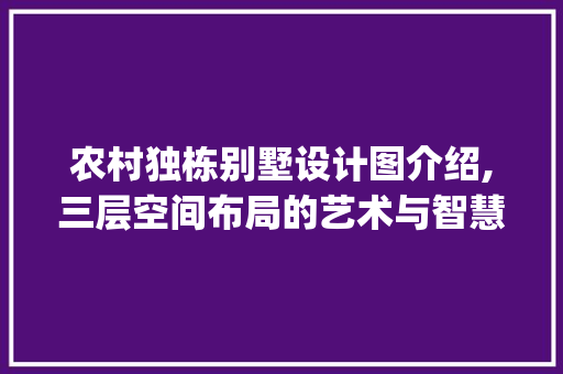 农村独栋别墅设计图介绍,三层空间布局的艺术与智慧_农村独栋别墅设计图三层 二手房