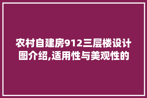 农村自建房912三层楼设计图介绍,适用性与美观性的完美融合_农村自建房912三层楼设计图