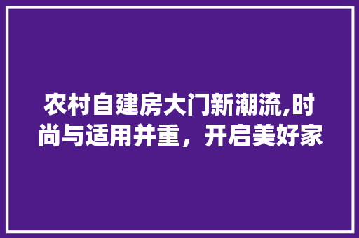 农村自建房大门新潮流,时尚与适用并重，开启美好家园之门_农村自建房大门最新款进户门