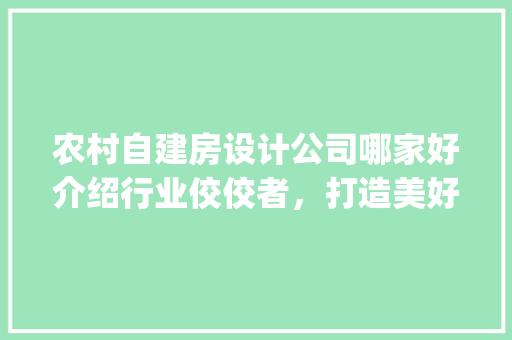 农村自建房设计公司哪家好介绍行业佼佼者，打造美好家园！_农村自建房设计公司哪家好