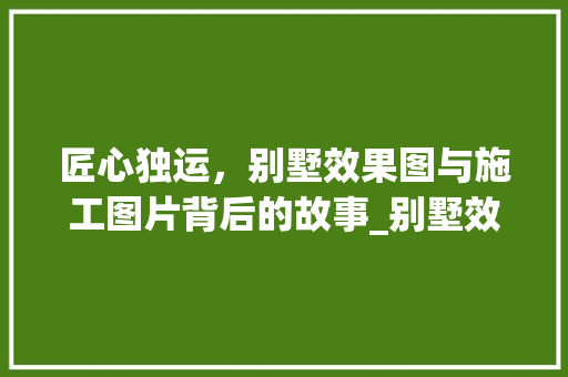 匠心独运，别墅效果图与施工图片背后的故事_别墅效果图及施工图片 二手房