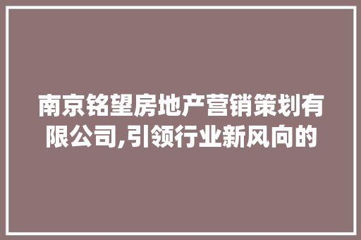 南京铭望房地产营销策划有限公司,引领行业新风向的房地产营销专家_南京铭望房地产营销策划有限公司