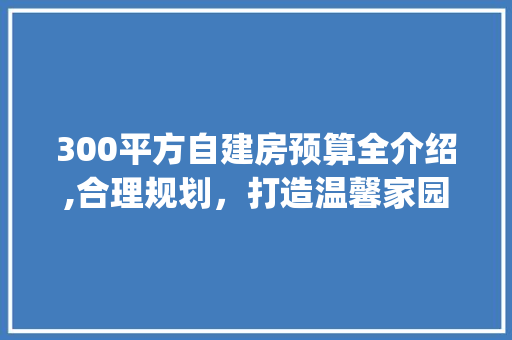 300平方自建房预算全介绍,合理规划，打造温馨家园_300平方自建房预算 家居设计