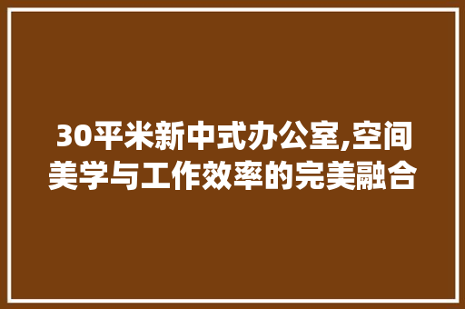 30平米新中式办公室,空间美学与工作效率的完美融合_新中式办公室_效果图30平方