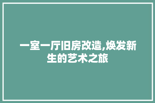 一室一厅旧房改造,焕发新生的艺术之旅