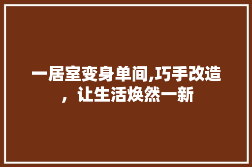 一居室变身单间,巧手改造，让生活焕然一新 家居装饰