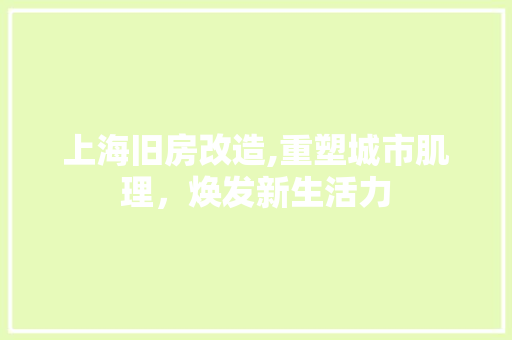 上海旧房改造,重塑城市肌理，焕发新生活力 二手房