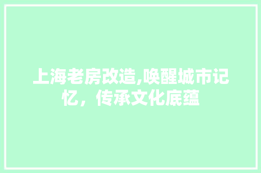 上海老房改造,唤醒城市记忆，传承文化底蕴 家居装饰