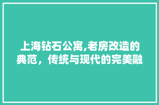上海钻石公寓,老房改造的典范，传统与现代的完美融合 家居装饰