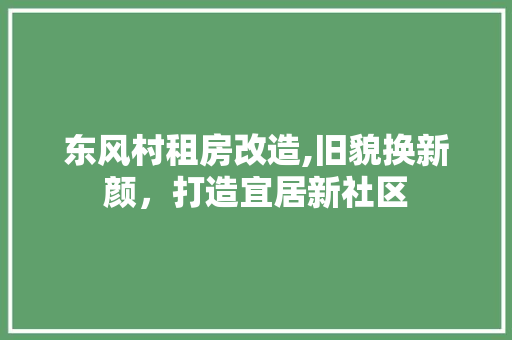 东风村租房改造,旧貌换新颜，打造宜居新社区