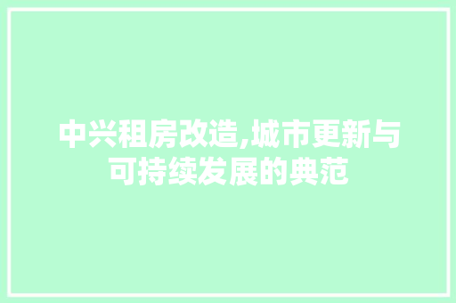 中兴租房改造,城市更新与可持续发展的典范