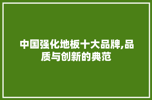 中国强化地板十大品牌,品质与创新的典范