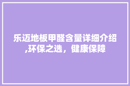 乐迈地板甲醛含量详细介绍,环保之选，健康保障 家居装饰