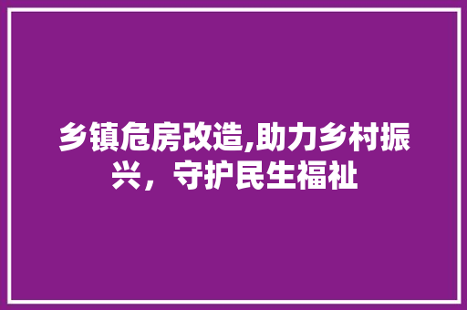 乡镇危房改造,助力乡村振兴，守护民生福祉
