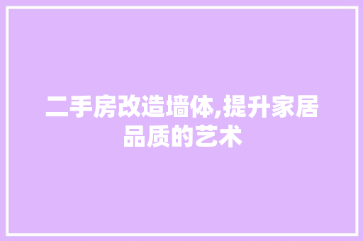 二手房改造墙体,提升家居品质的艺术