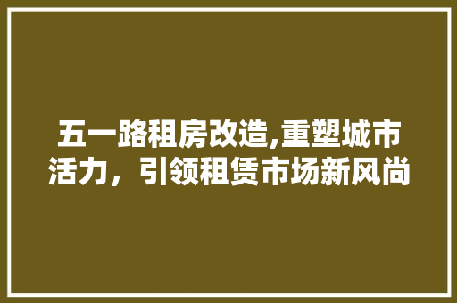 五一路租房改造,重塑城市活力，引领租赁市场新风尚