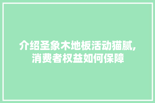 介绍圣象木地板活动猫腻,消费者权益如何保障