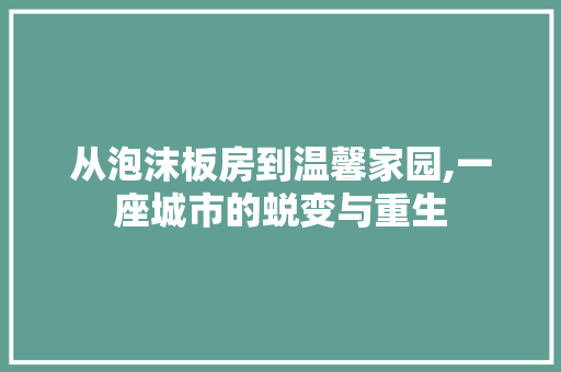 从泡沫板房到温馨家园,一座城市的蜕变与重生 装修知识