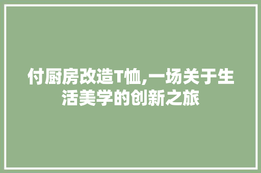 付厨房改造T恤,一场关于生活美学的创新之旅，厨房简单改造。