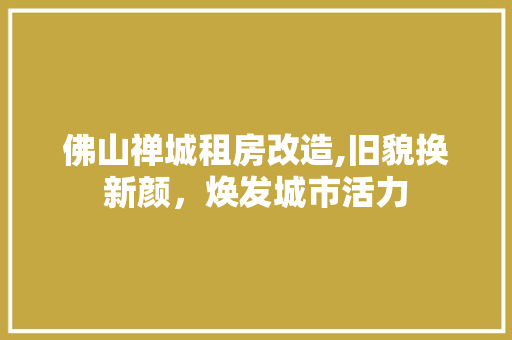 佛山禅城租房改造,旧貌换新颜，焕发城市活力