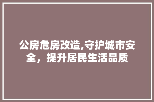公房危房改造,守护城市安全，提升居民生活品质