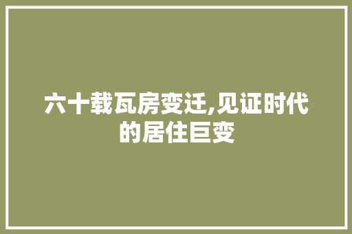 六十载瓦房变迁,见证时代的居住巨变