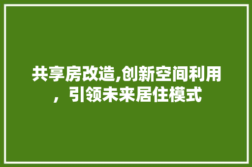 共享房改造,创新空间利用，引领未来居住模式