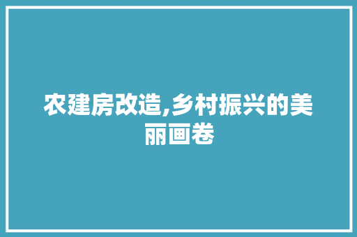 农建房改造,乡村振兴的美丽画卷