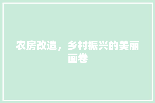 农房改造，乡村振兴的美丽画卷 家居设计