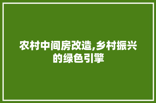 农村中间房改造,乡村振兴的绿色引擎