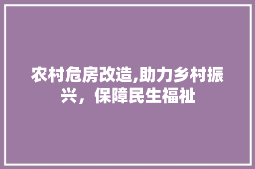 农村危房改造,助力乡村振兴，保障民生福祉