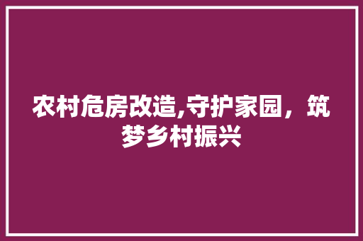 农村危房改造,守护家园，筑梦乡村振兴