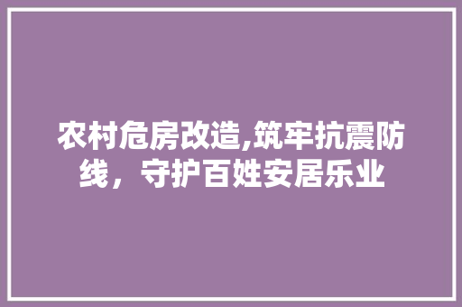 农村危房改造,筑牢抗震防线，守护百姓安居乐业