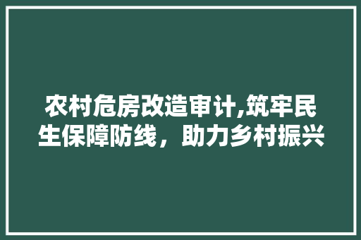 农村危房改造审计,筑牢民生保障防线，助力乡村振兴