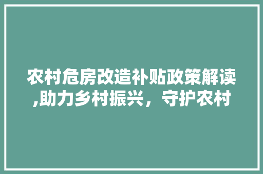 农村危房改造补贴政策解读,助力乡村振兴，守护农村居民安居乐业