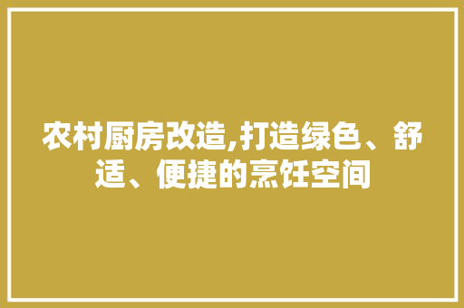 农村厨房改造,打造绿色、舒适、便捷的烹饪空间 二手房
