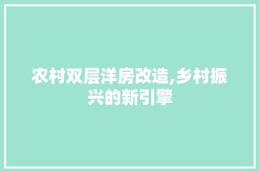 农村双层洋房改造,乡村振兴的新引擎