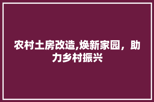 农村土房改造,焕新家园，助力乡村振兴