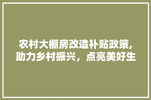 农村大棚房改造补贴政策,助力乡村振兴，点亮美好生活
