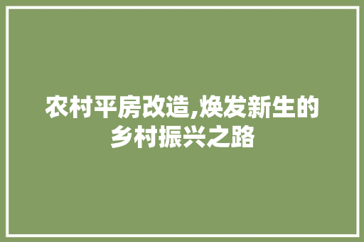 农村平房改造,焕发新生的乡村振兴之路 买房须知